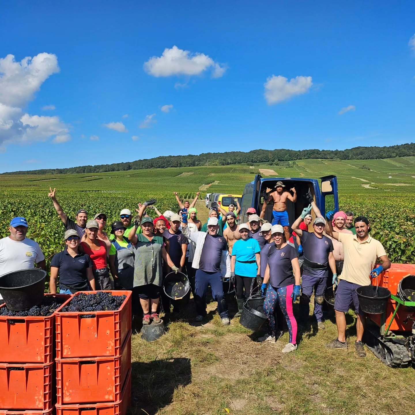 Delavenne Père & Fils｜ ヌーヴェル・セレクション Nouvelles